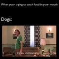 Catching food in your mouth