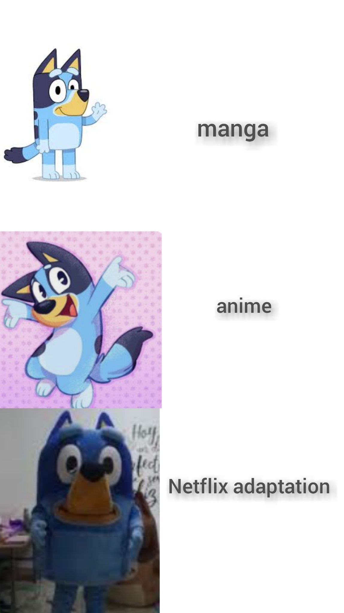 Bluey Memes