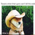 Texans when their guns can't kill the cold