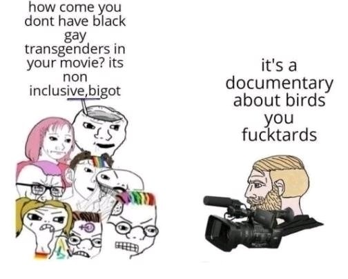 NiggerBirds - meme