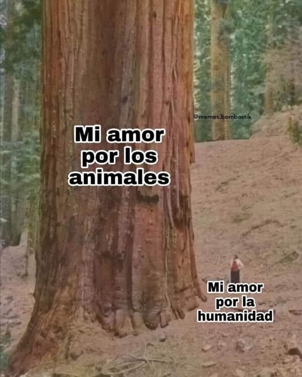 Amor por los animales - meme