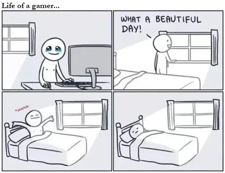 Life of a gamer - meme