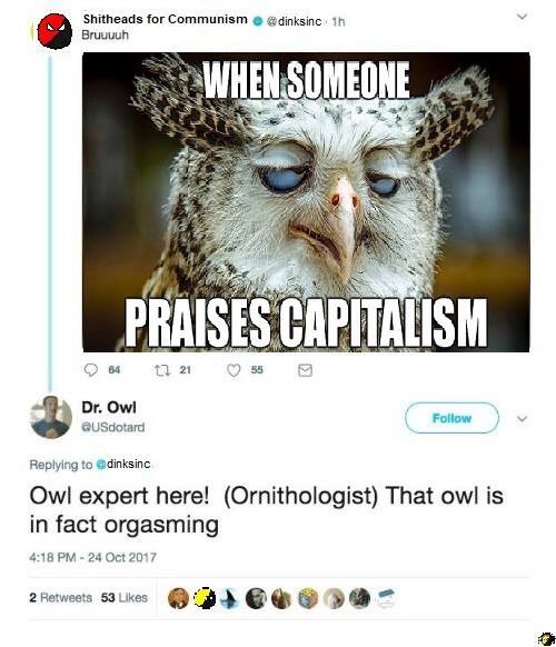 Shouldn't it be called an owlgasm? - meme