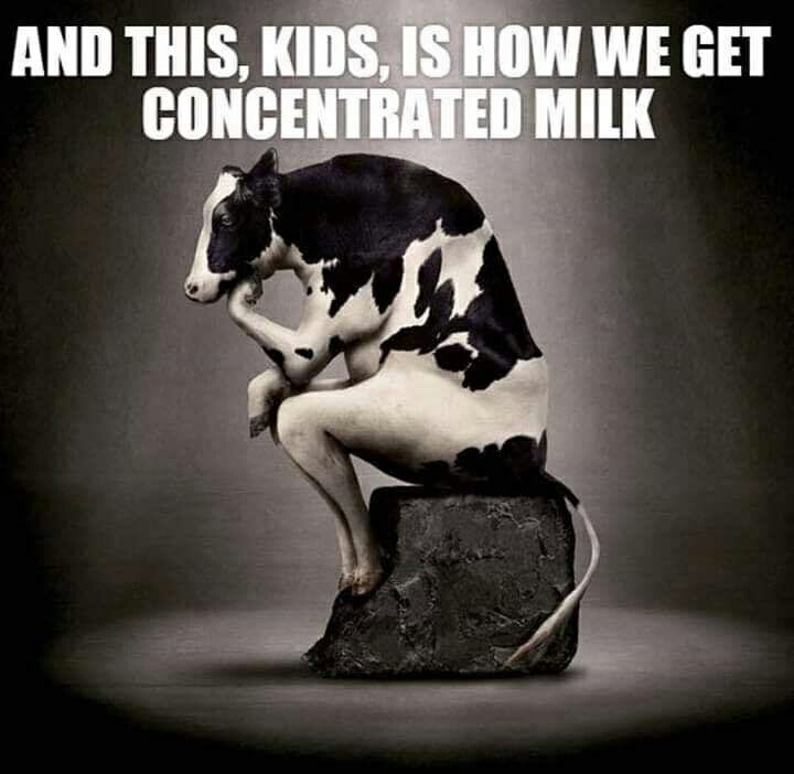 Milk is cow juice - meme