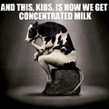 Milk is cow juice