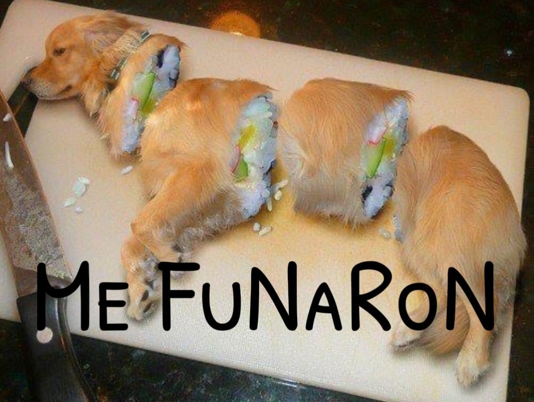 Sushi dog - meme