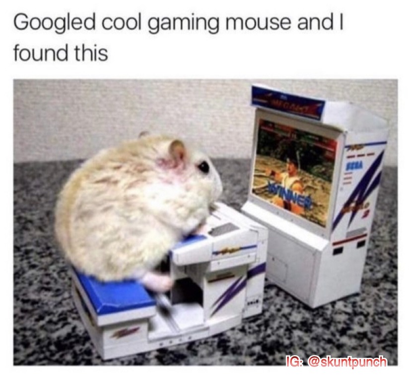 Nerd mouse - meme
