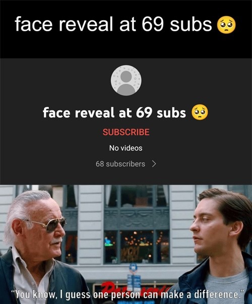 Stan Lee approves - meme