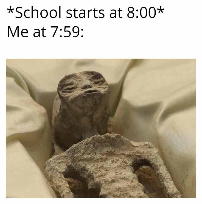 When it's time to get up for school be like - meme