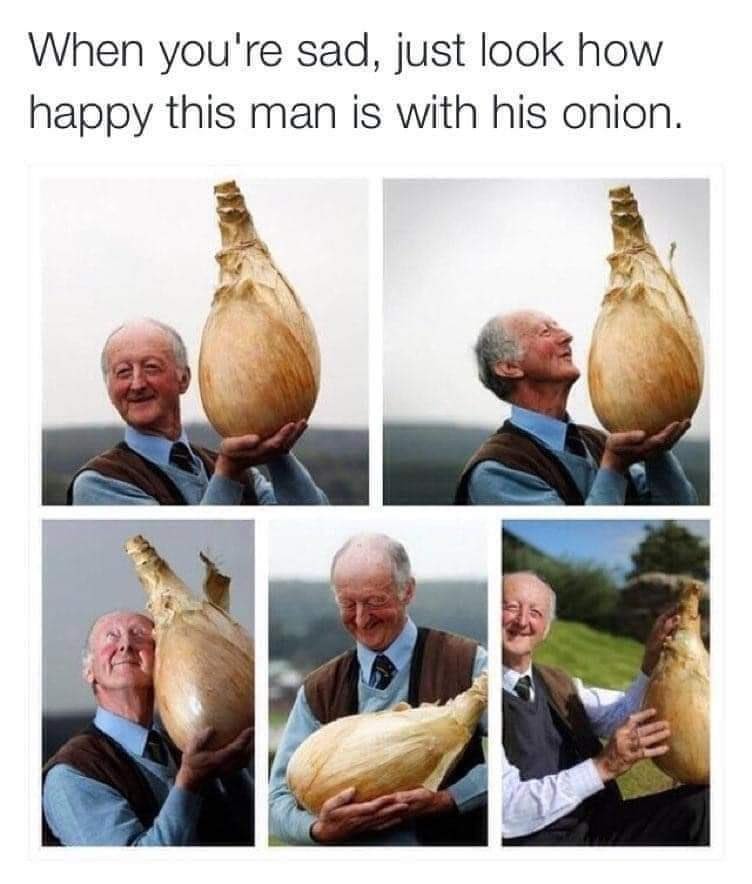 onion - meme