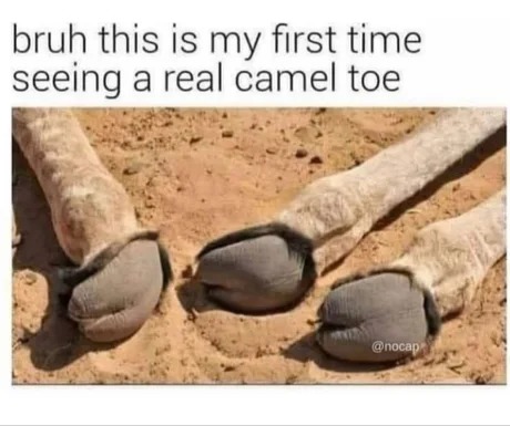 Camel toe - meme