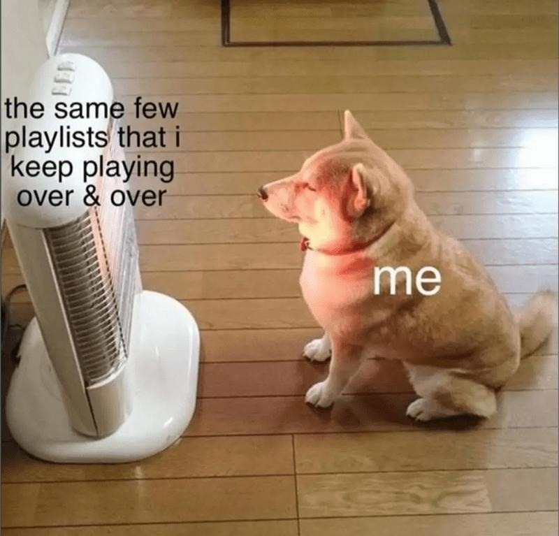 Playlist - meme