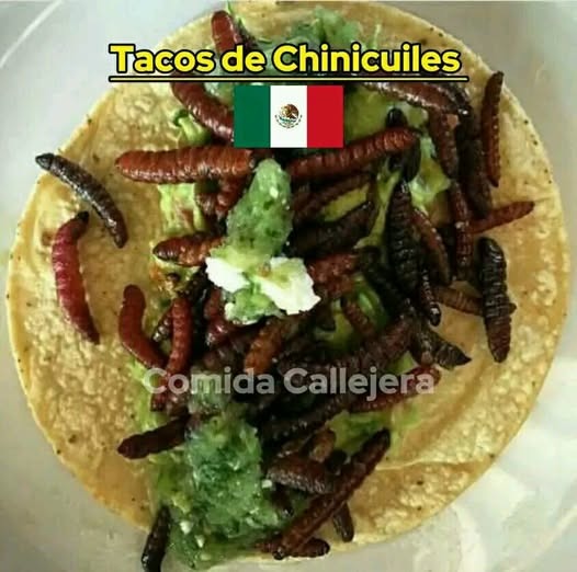 Tacos - meme