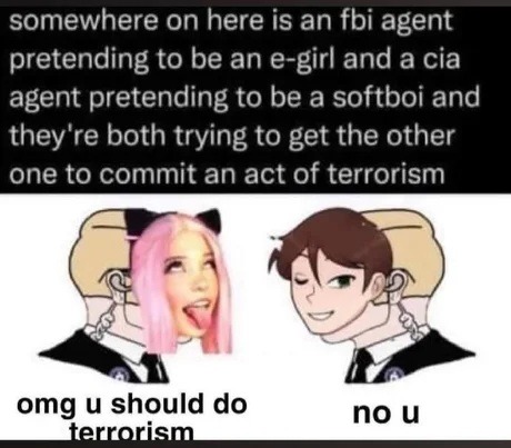﻿somewhere on here is an fbi agent pretending to be an e-girl and a cia agent pretending to be a softboi and re both trying to get the other one t0 commit an act of terrorism omg u should do no u terrorismm they”