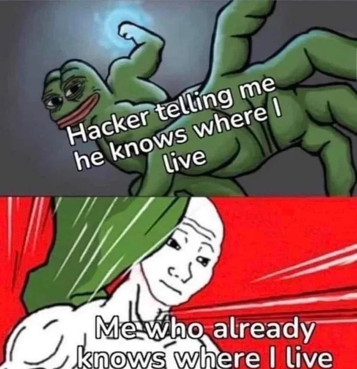 "I also have your bank and credit accounts so... (looks at accounts) uh... you... you actually live like this?" - meme