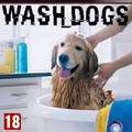 Wash dogs