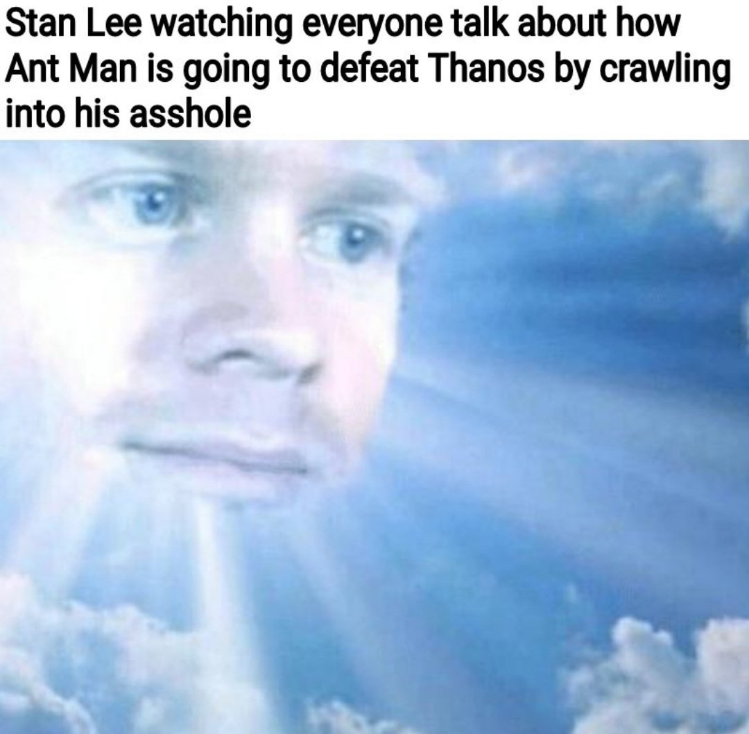RIP Stan Lee - meme