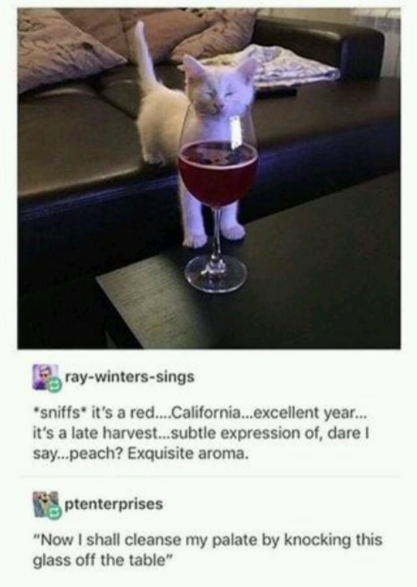 Cat likes the smell of red wine - meme
