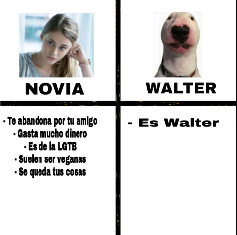 Walter - meme