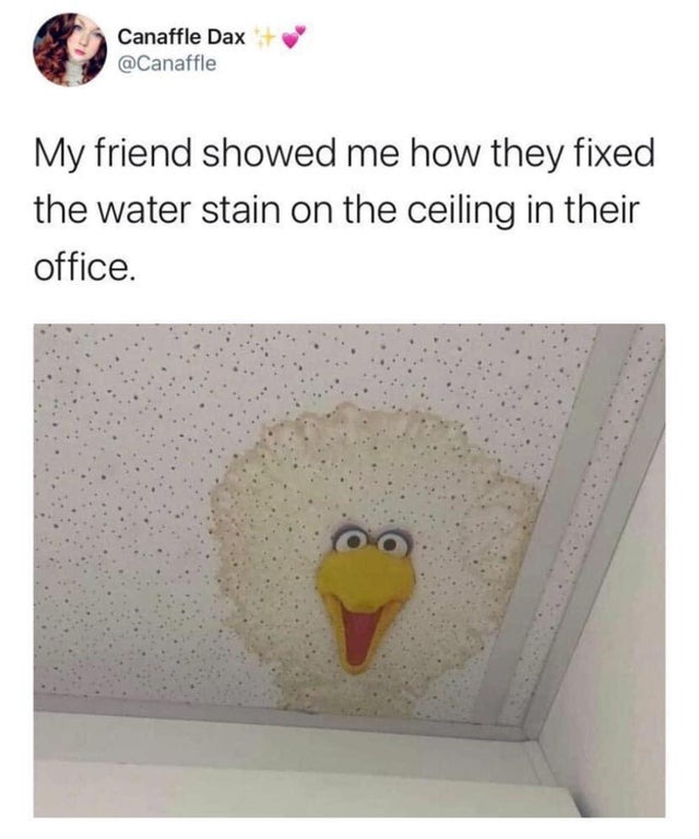 Great water stain fixing - meme