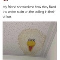 Great water stain fixing