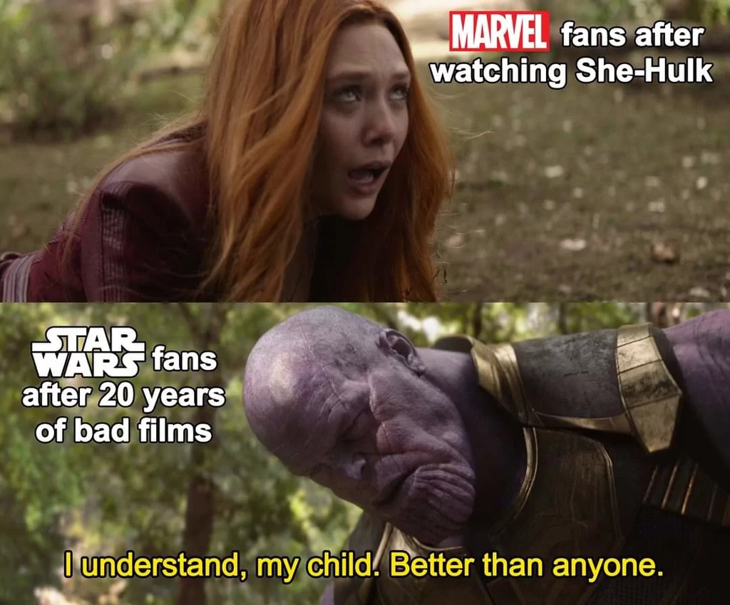 Marvel fans ... - meme