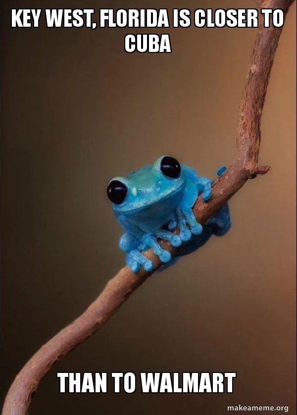 Did You Know Meme By Mr Gimli Memedroid