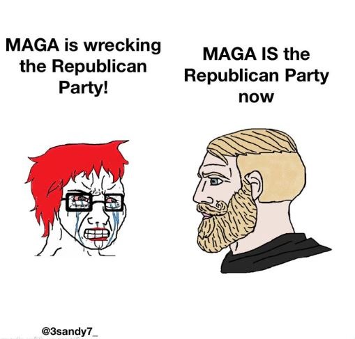 Look at me... MAGA IS the Republican Party Now! - meme