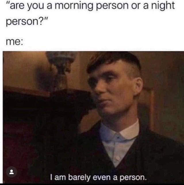 are you a morning person or a night person? - meme