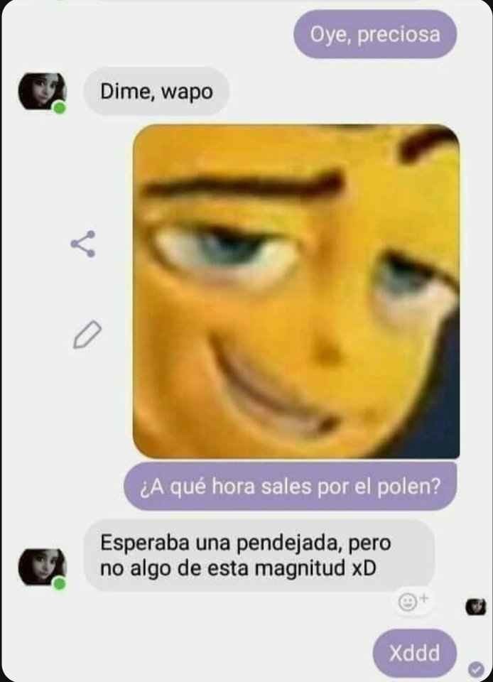 Chats - meme