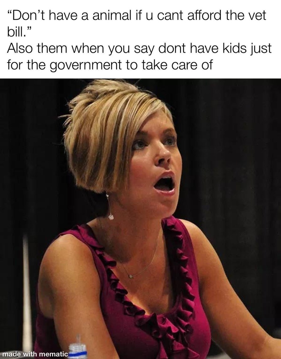 Don’t get pets if you can’t pay the vet. Also them: kids for tax refunds - meme