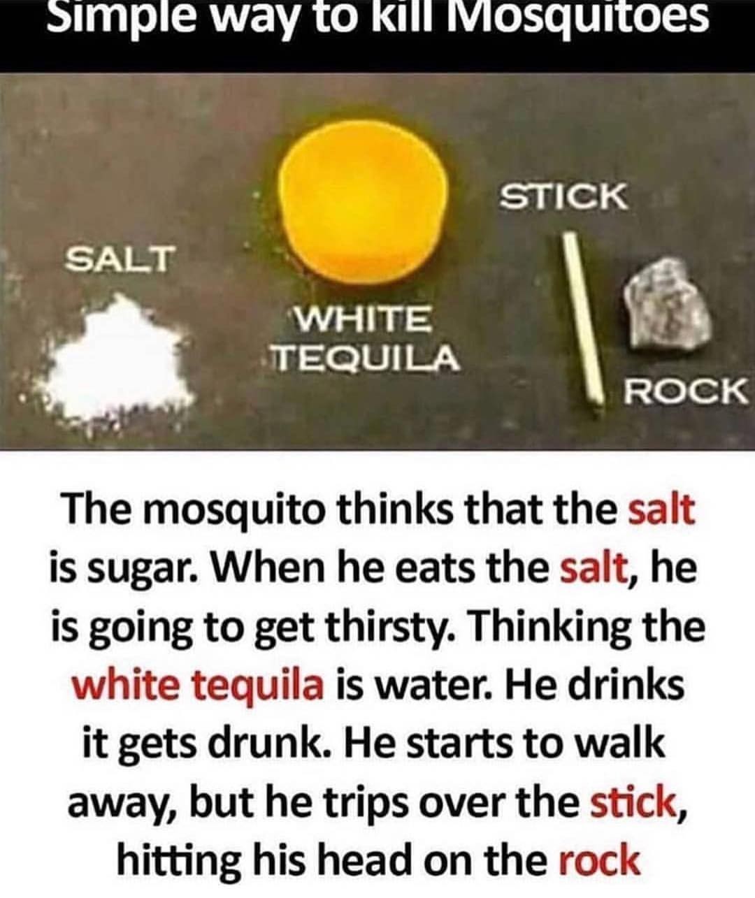 Killing mosquitoes 101 - meme