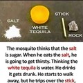 Killing mosquitoes 101