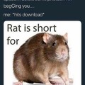 Rats rats