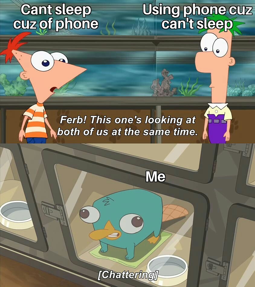 Every night - meme