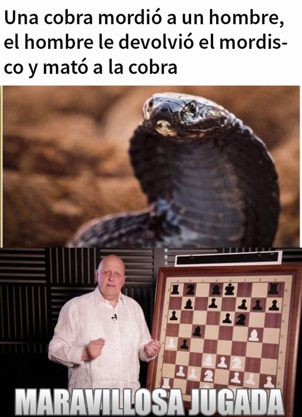 ajedrez - meme