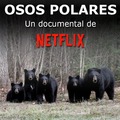 Documental de osos polares de Netflix