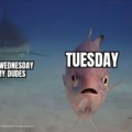 Tuesday meme