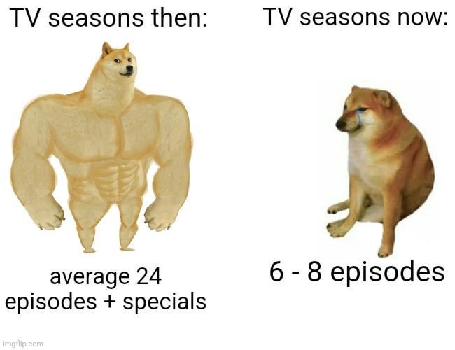 TV seasons then vs now - meme