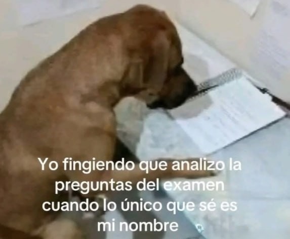 Yo haciéndome el que razona el examen mientras pienso en el almuerzo - meme