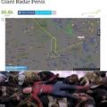 Florida man uses private plane to draw giant radar penis