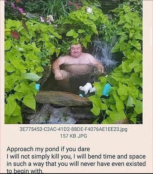 The pond - meme