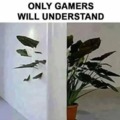 only gamers will understand
