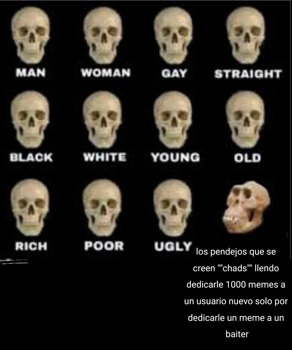por eso, creo que los antinewfags son la misma cagada que los newfags - meme