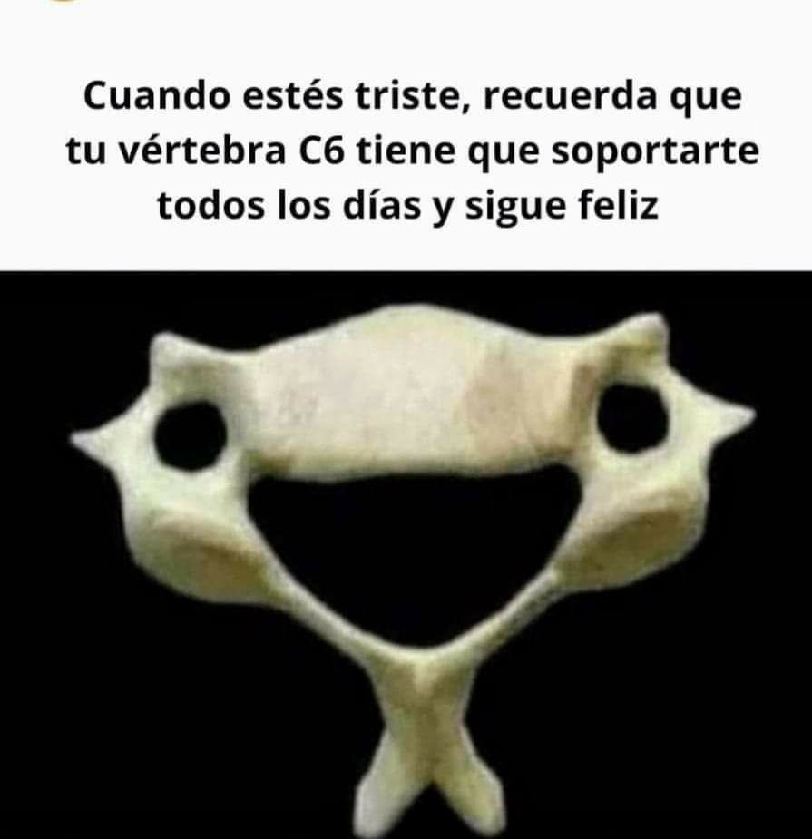 Tu vértebra C6 está siempre contenta - meme