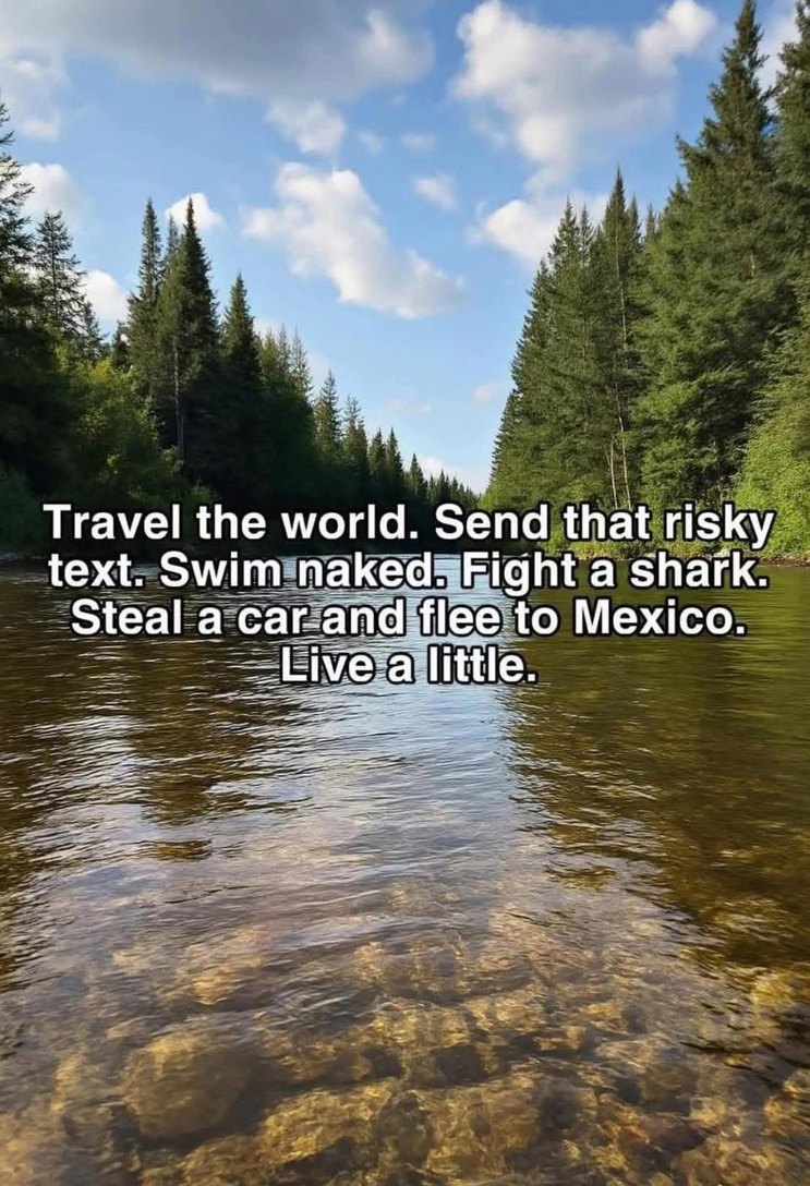 Swim naked, fight a shark, steal a car—live a little - meme