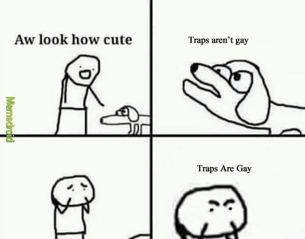 TRAPS ARE GAY - meme