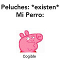 Cogible