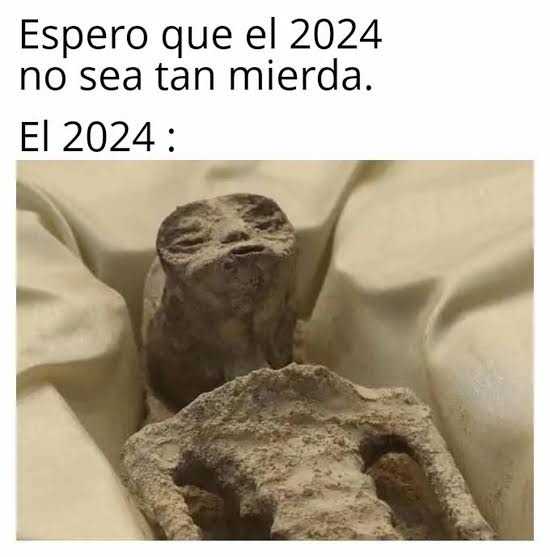 Año 2024 - meme