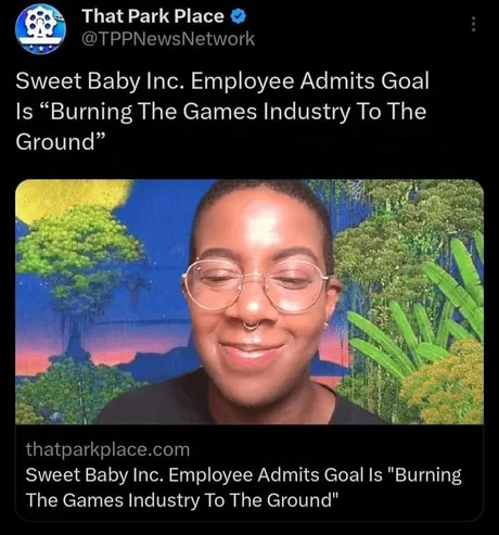Sweet baby inc is an illness for the gaming industry - meme